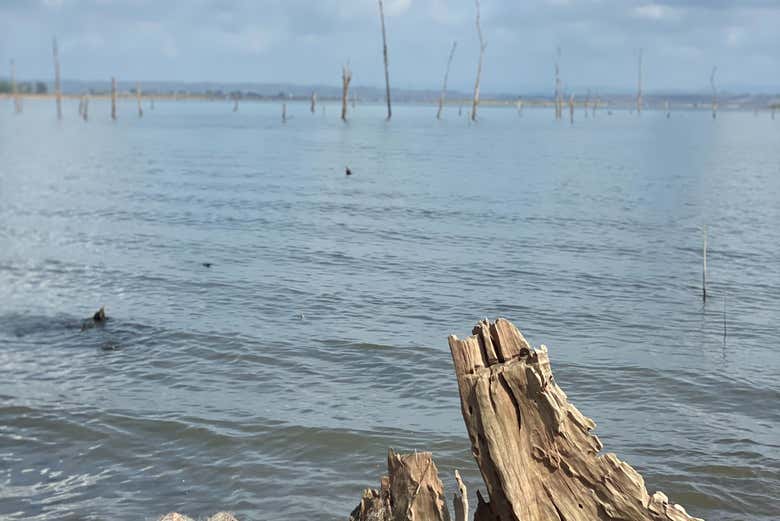 Paisaje del río Tigre
