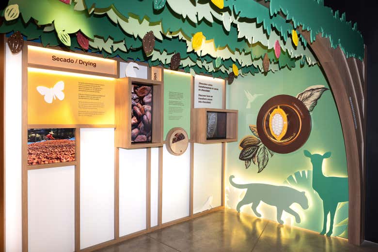 Sección interactiva dedicada al cacao y la naturaleza 