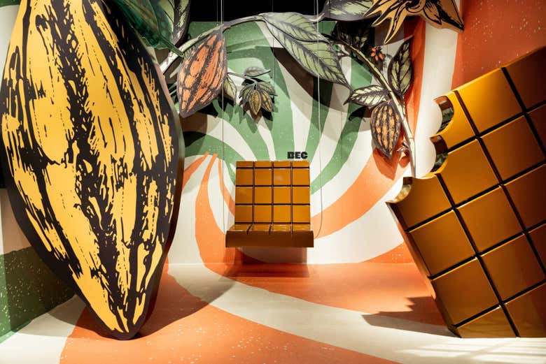Aprendiendo todo sobre el cacao