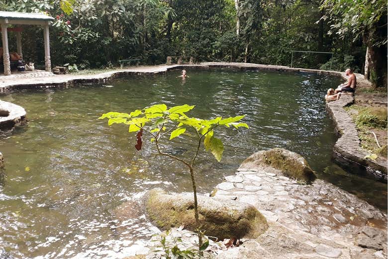 A natural pool