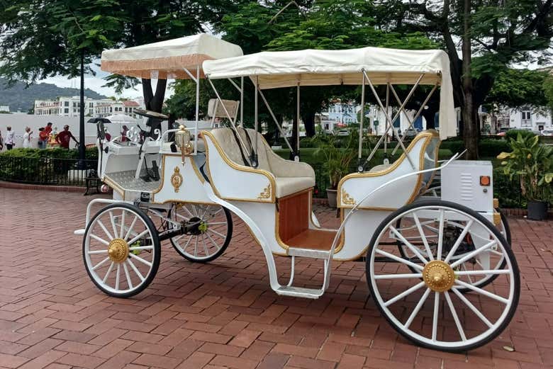 Haremos un recorrido por lo mejor de Ciudad de Panamá