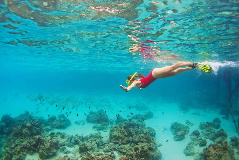 Practicing snorkelling