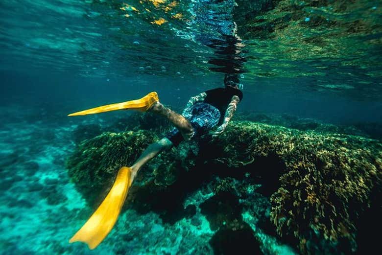 Snorkel en Portobelo