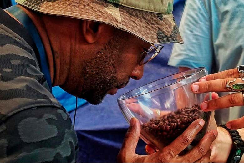 Oliendo granos de café panameño
