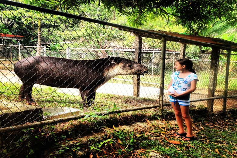 Une expérience pour toute la famille !