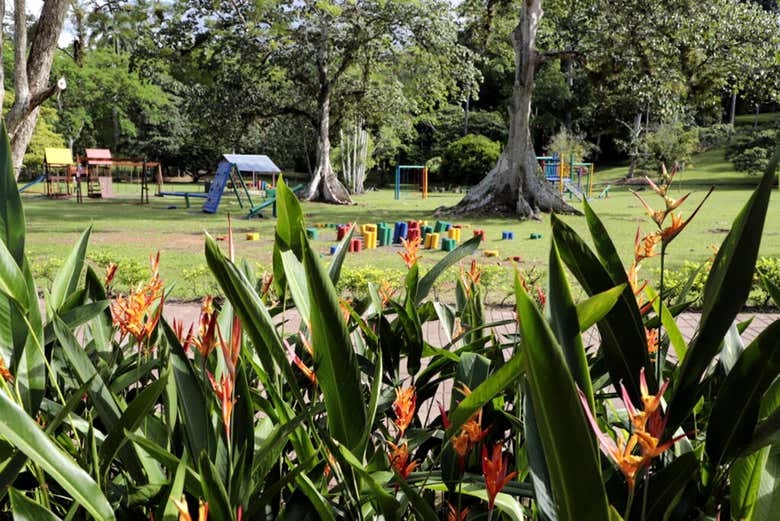Área recreativa de Parque Municipal Summit