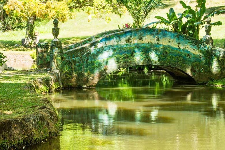 Une petit étang dans le Parque Municipal Summit