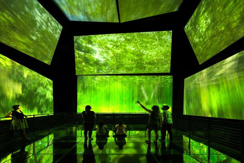 Profitez des expositions au Biomuseo