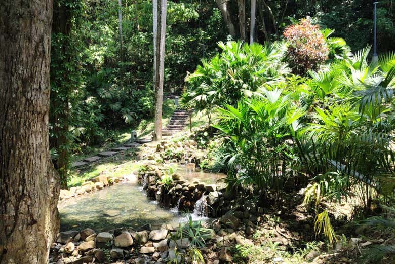 Explorez les espaces verts de Mi Pueblito