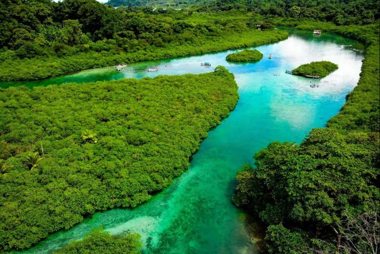 Navegaremos por el hermoso entorno de Venas Azules
