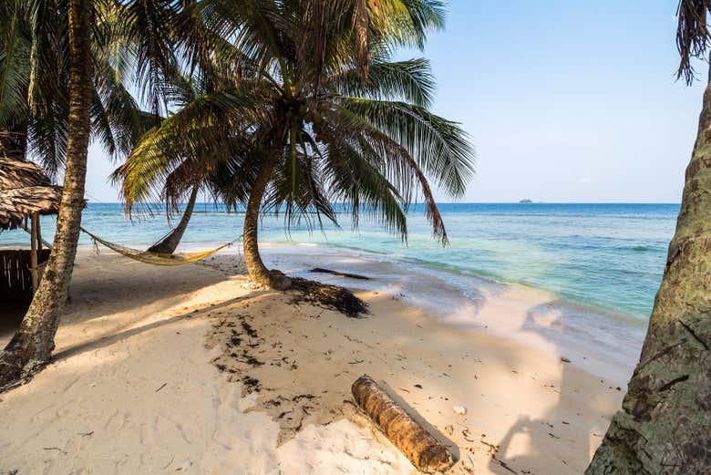 Podréis relajaros en un auténtico paraíso caribeño