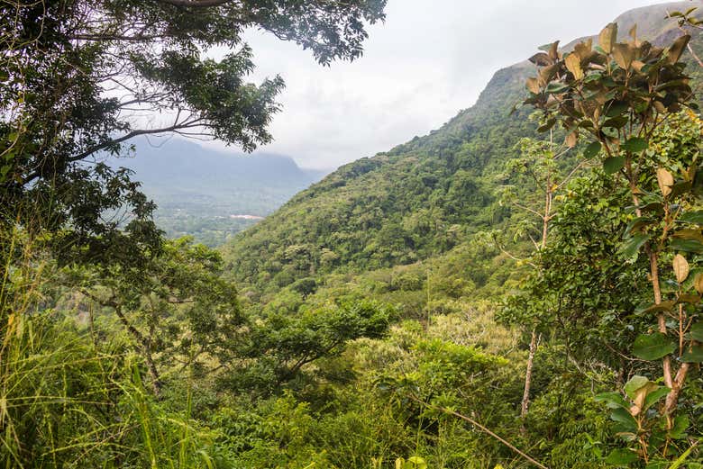 Views of the valley