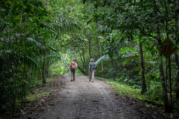 Senderismo Parque Nacional