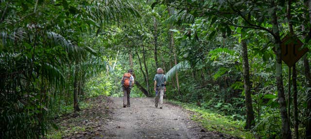 Senderismo por el Parque Nacional Soberanía