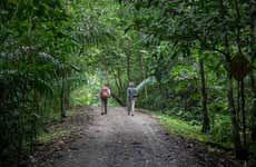 Senderismo por el Parque Nacional Soberanía