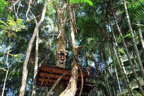 Ziplining in Gamboa