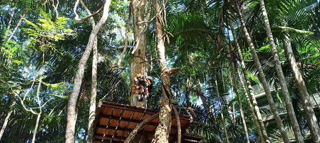 Ziplining in Gamboa