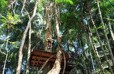 Ziplining in Gamboa