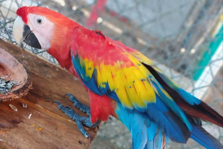 Visit an animal sanctuary