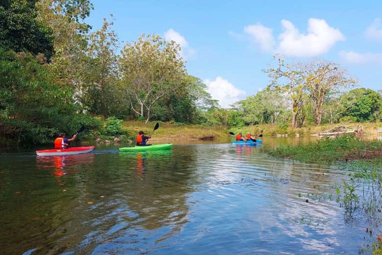 You'll have a blast!