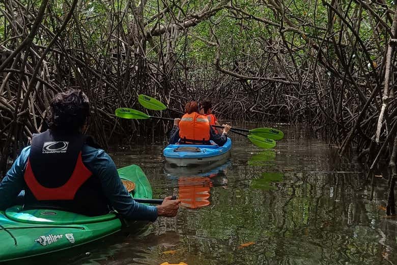Durante el recorrido