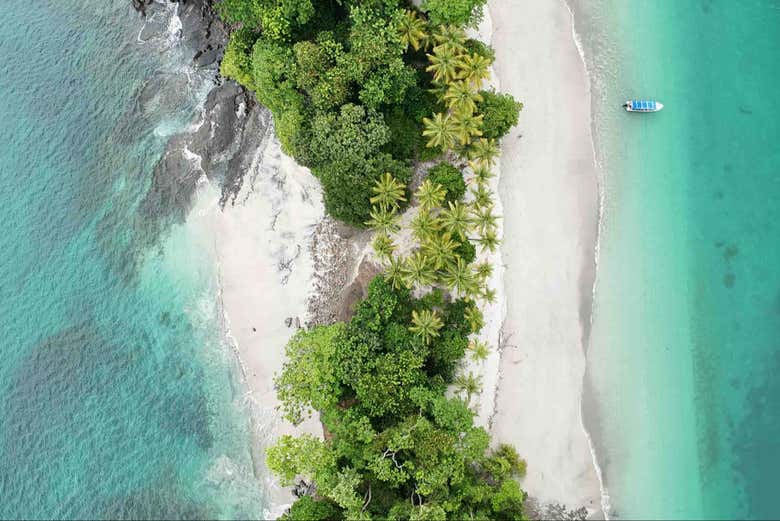 Come on this day trip of the Gulf of Chiriquí