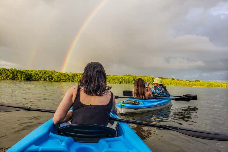 Disfrutando del tour en kayak por los manglares de Chiriquí