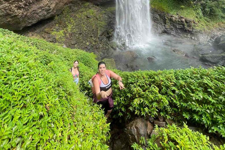 Atravesando la densa vegetación