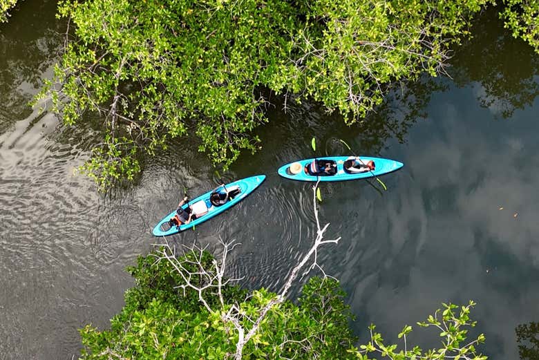 Vista de dron de los kayaks en los manglares