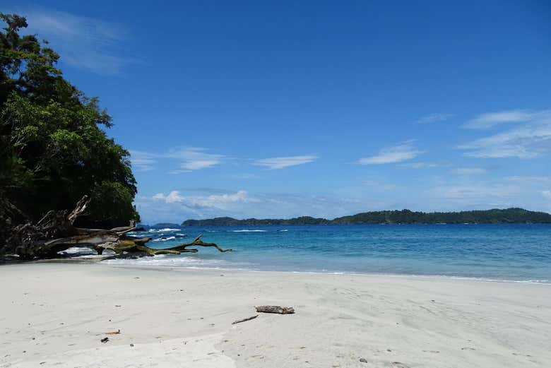 La vista desde la playa