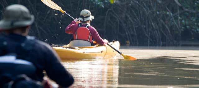 Tour en kayak por los manglares de Chiriquí