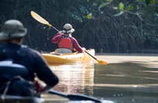 Tour en kayak por los manglares de Chiriquí