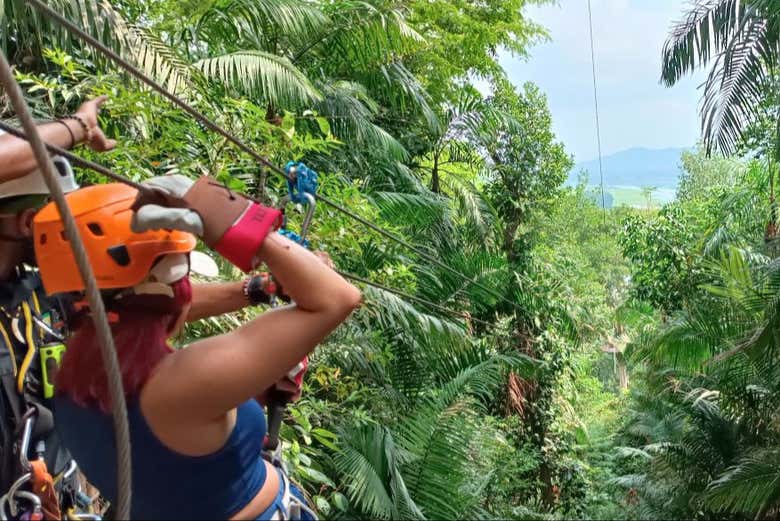 Entre la densa selva tropical