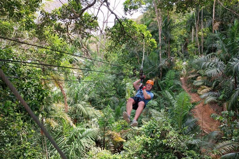 Soar over the Panamanean jungle!