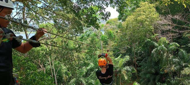 Zipline at Gamboa Tree Trek