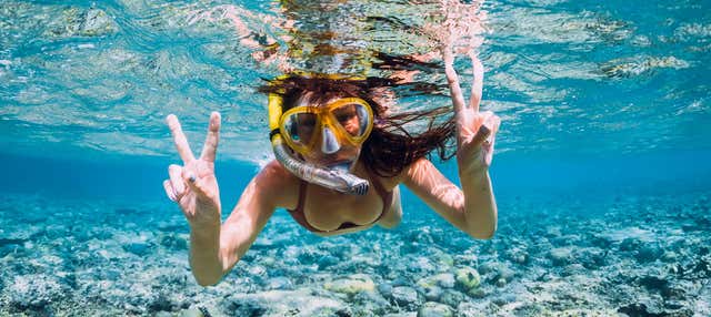Snorkel en Portobelo