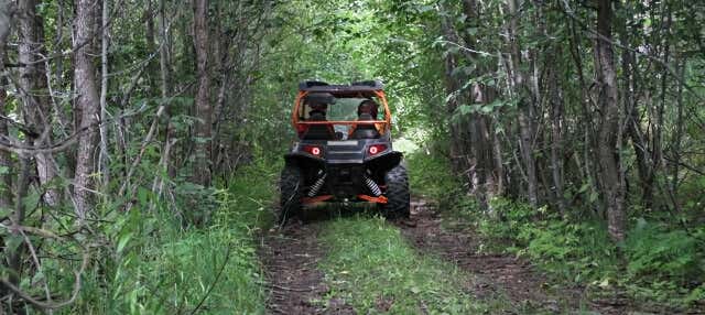 Tour de buggy pela selva da Riviera Pacífica