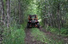 Riviera Pacifica Jungle Buggy Tour