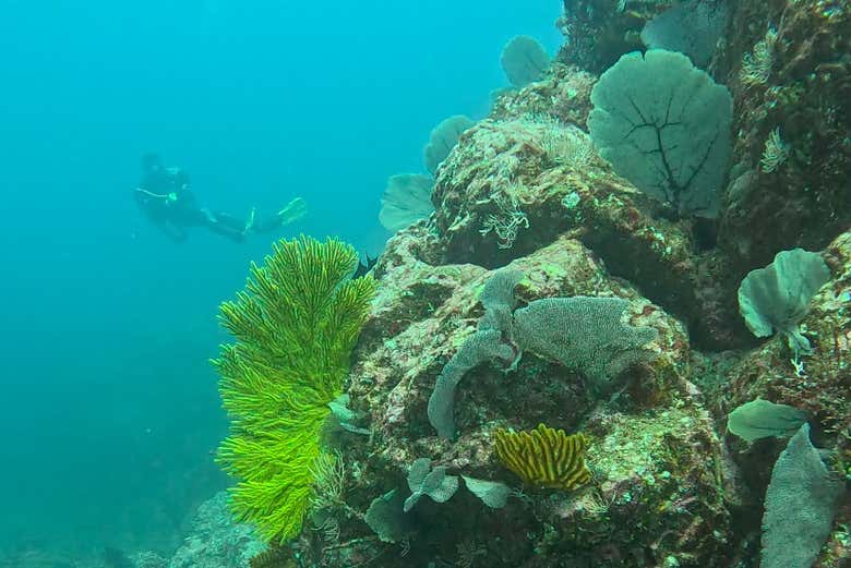 ¡Una experiencia inolvidable!