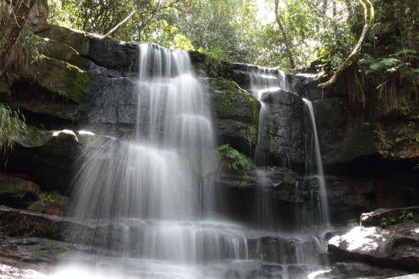 Excursión al Parque Nacional Ybycui + Museo La Rosada