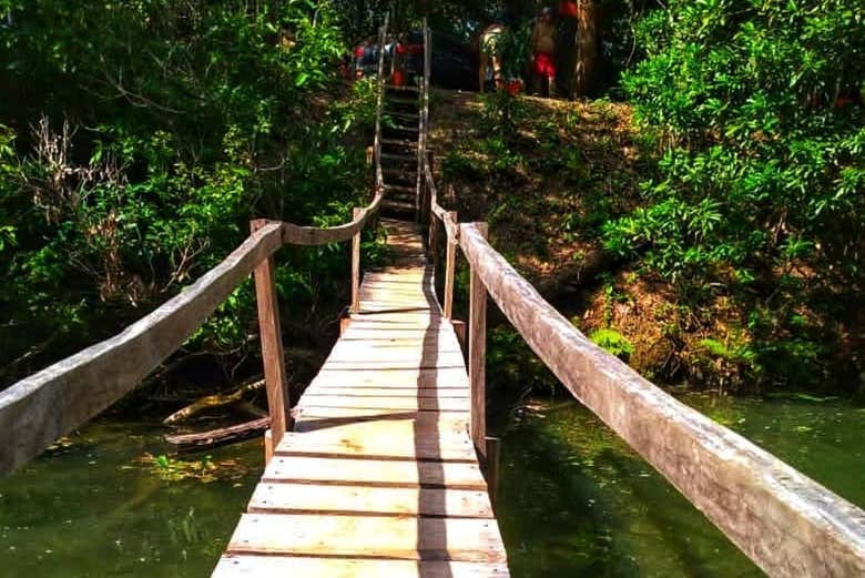 Footbridge over Tagatiyá Creek