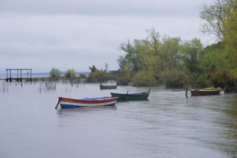 Barcos en el lago