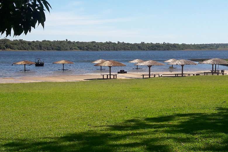 Umbrellas along the water