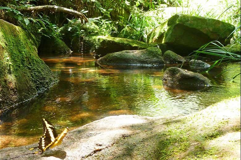 Disfrutando de la naturaleza en el parque