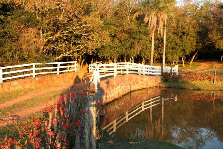Scorcio della Estancia Tacuaty