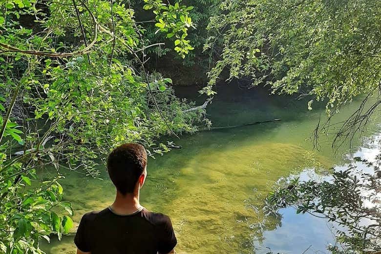 Enjoying the scenery