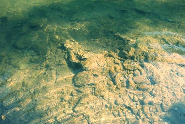 Creek bed