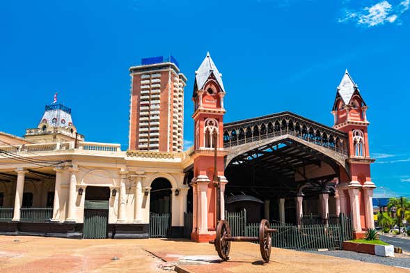 Tour pelos museus de Assunção
