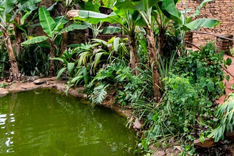 Il giardino giapponese del Culturas Park Iguazú
