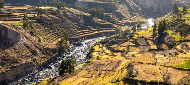 Excursión a Chivay y Cañón del Colca